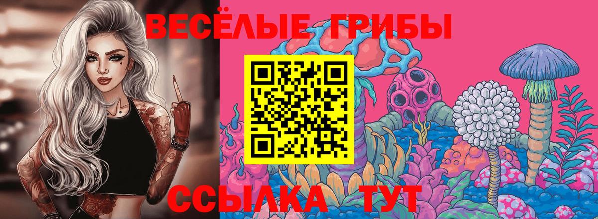 Галлюциногенные грибы GOLDEN TEACHER  Псилоцибиновые грибы GOLDEN TEACHER  Вход с VPN  Кимовск 