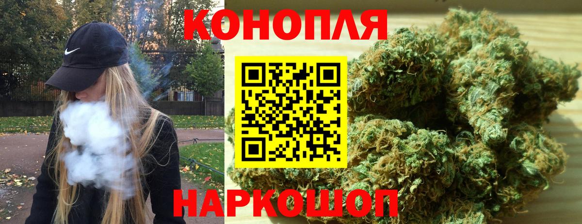 Бошки Шишки ГИДРОПОН Кимовск